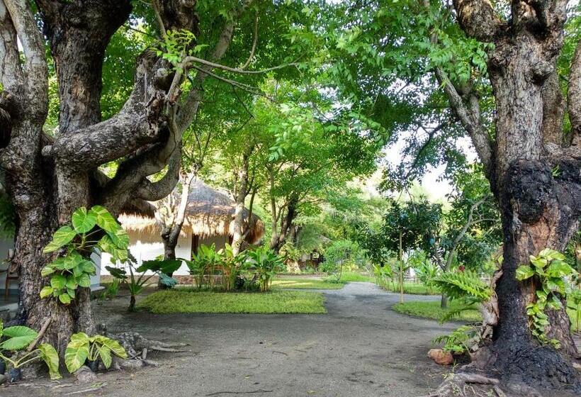 חדר סטנדרט, Amrita Maumere Resort