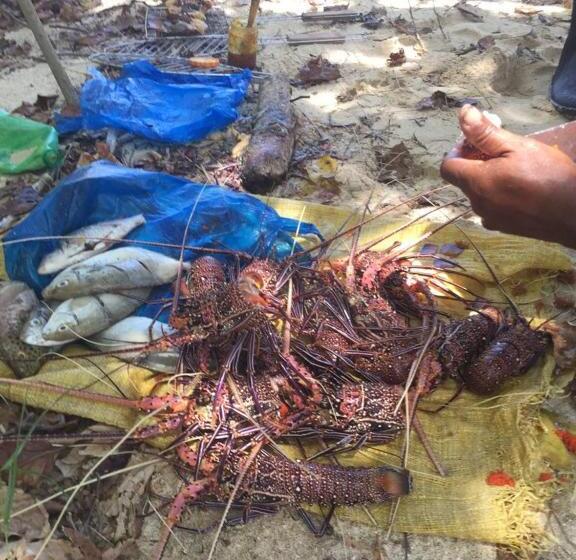 Standard Tent, Amrita Maumere Resort