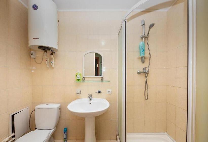 اتاق استاندارد یک نفره, Elektromash