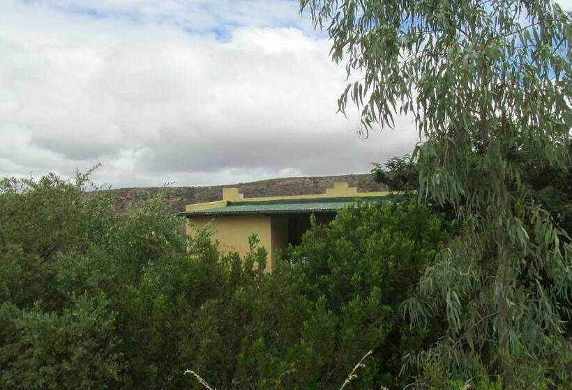 شاليه غرفة نوم واحدة, The Country Garden