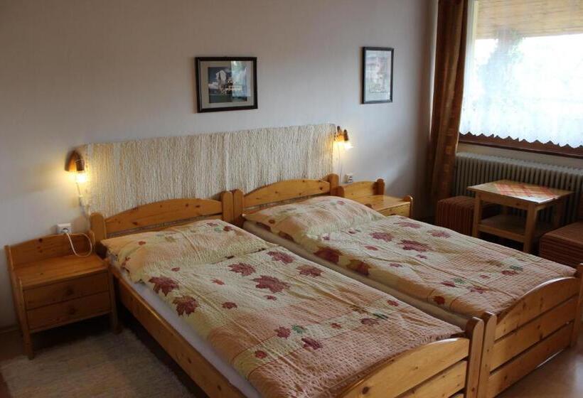 Номер Стандарт Вид на Сад, Penzión Mária