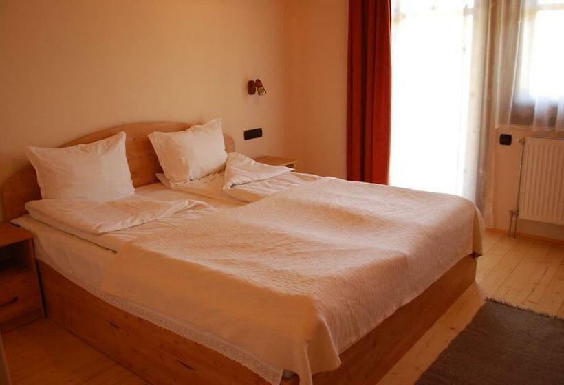 标准间, Pensiunea Sapte Flori