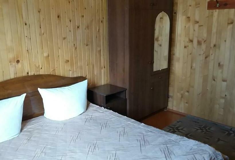 اتاق اکونومی, Raduga Karpat