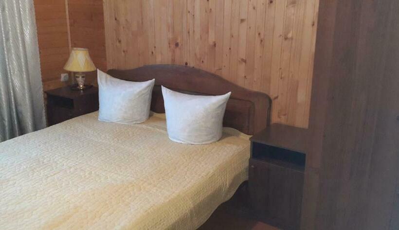 اتاق اکونومی, Raduga Karpat