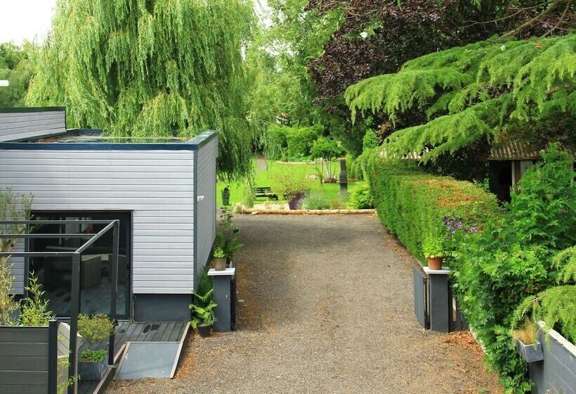 스탠다드 룸, Cleome