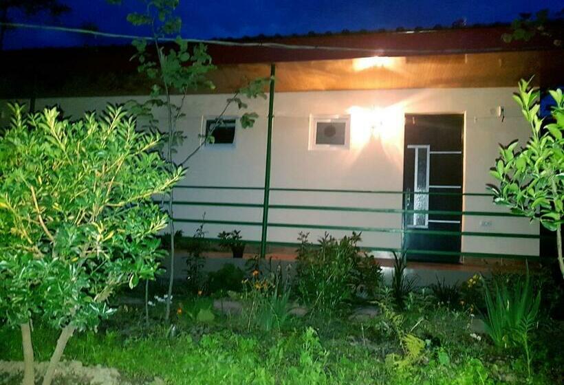 اتاق استاندارد چهار تخته, Guest House Villa