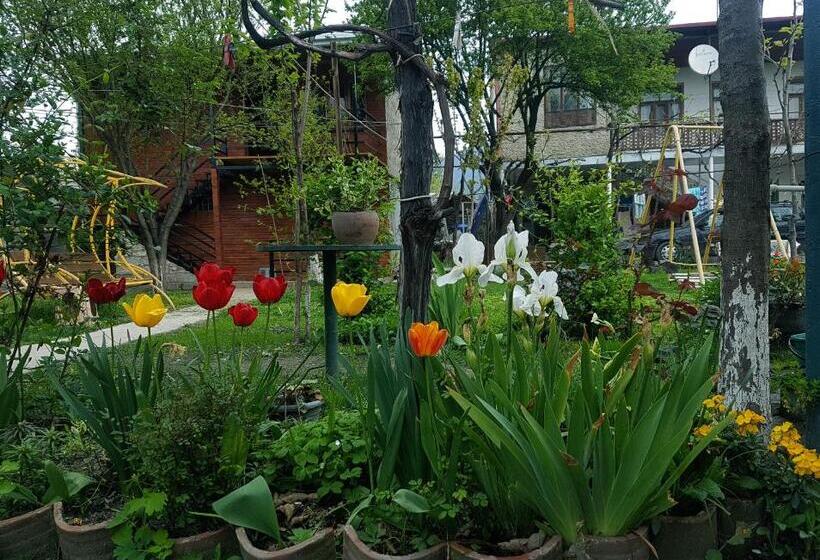 ویلای 1 خوابه با چشمانداز باغ, Guest House Villa