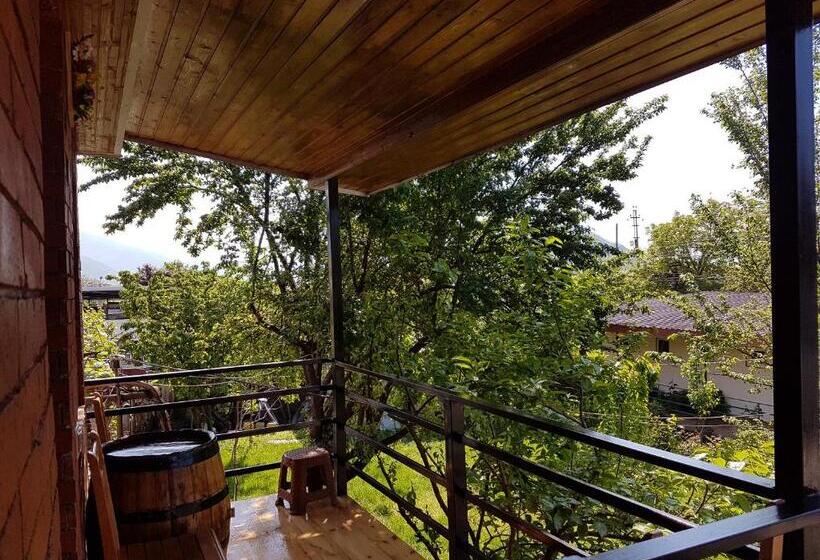 ویلای 1 خوابه با چشمانداز باغ, Guest House Villa