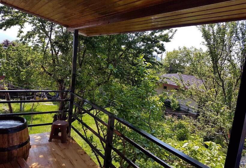 ویلای 1 خوابه با چشمانداز باغ, Guest House Villa