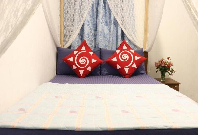 Номер Deluxe, Zion White House