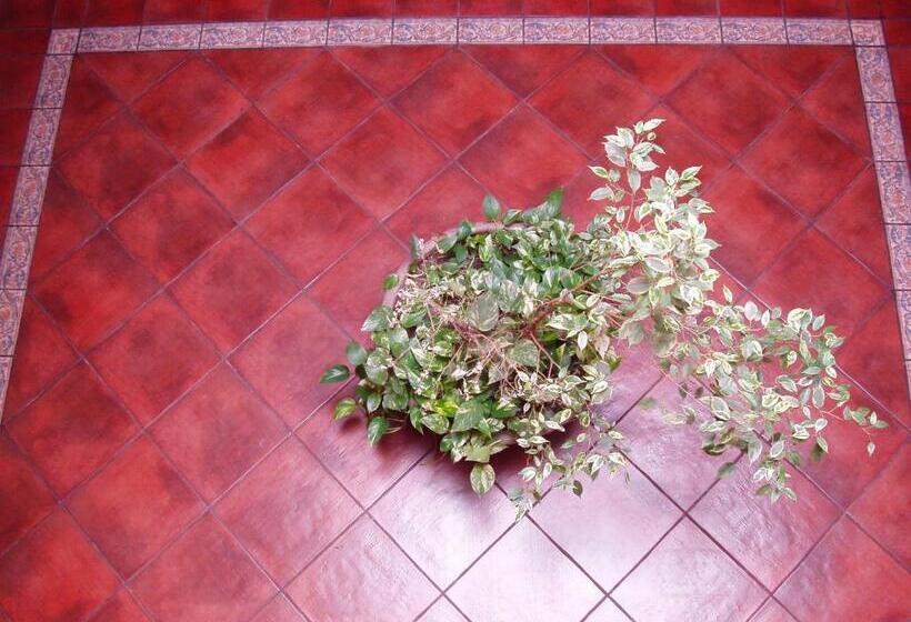 家庭间, El Castrejon