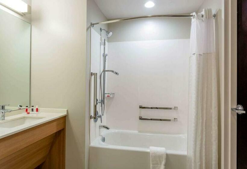 غرفة قياسية لذوى الاحتياجات الخاصة, Microtel Inn Suites By Wyndham South Hill