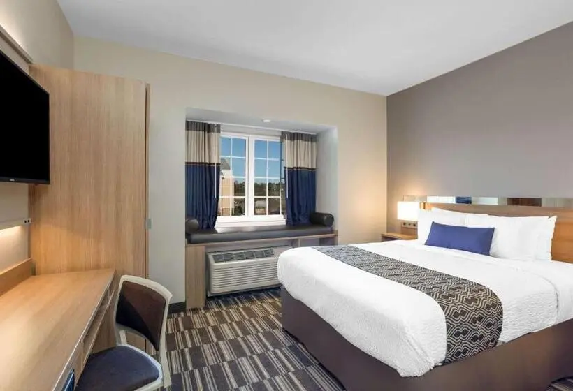 身障者適用スタンダードルーム, Microtel Inn Suites By Wyndham South Hill