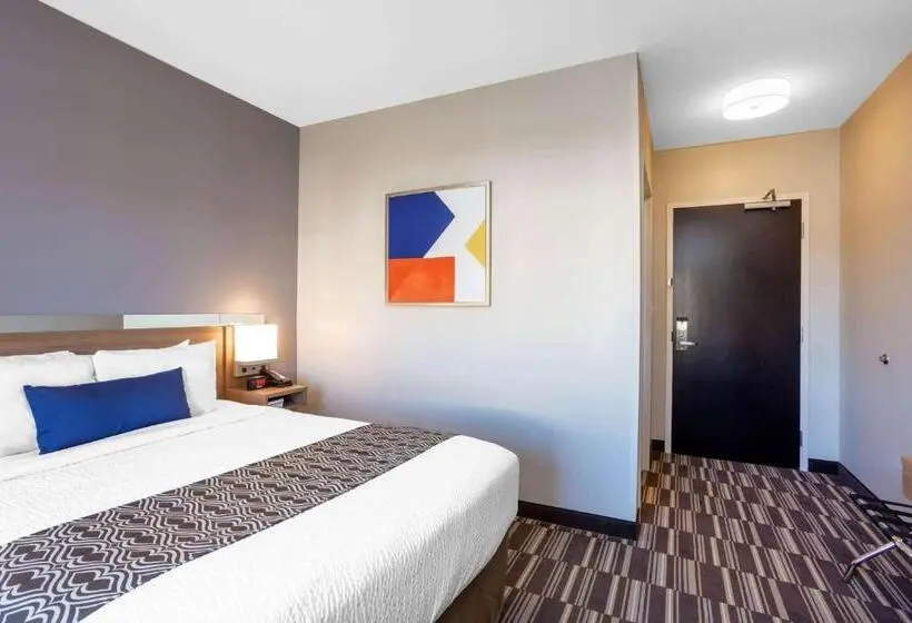 スタンダードルーム, Microtel Inn Suites By Wyndham South Hill
