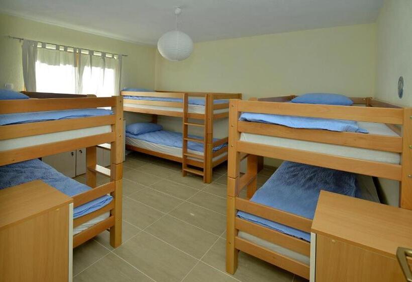 تختخواب در اتاق مشترک, Hostel Bojo