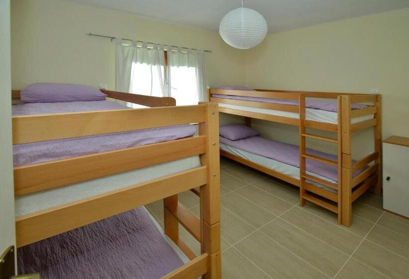 تختخواب در اتاق مشترک, Hostel Bojo