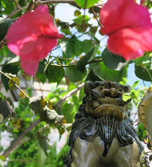 シングルデラックスルーム, Roconia Terrace