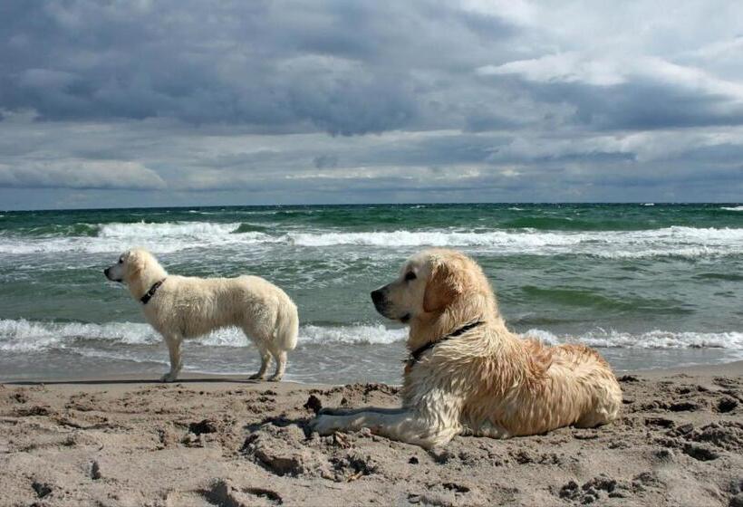 דירת חדר, 14p Luxe Bungalow Met Serre