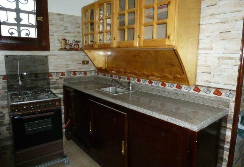 اتاق استاندارد یک نفره, Dream Island