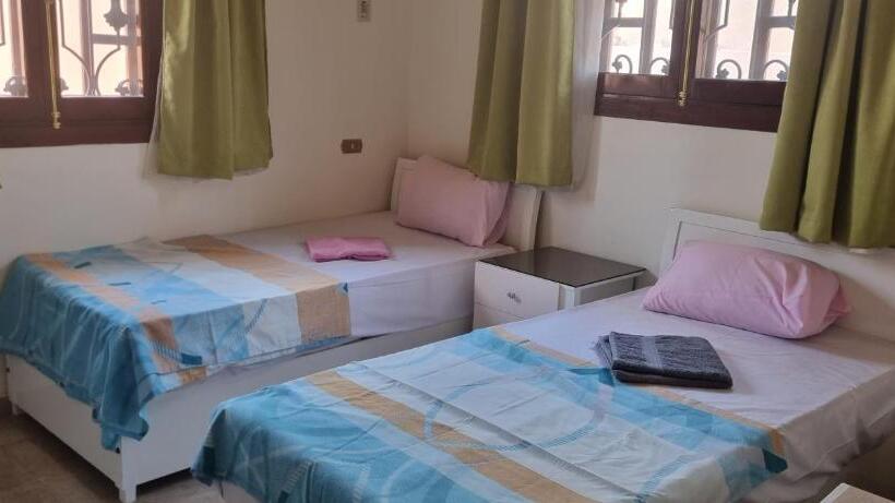 اتاق لوکس, Dream Island