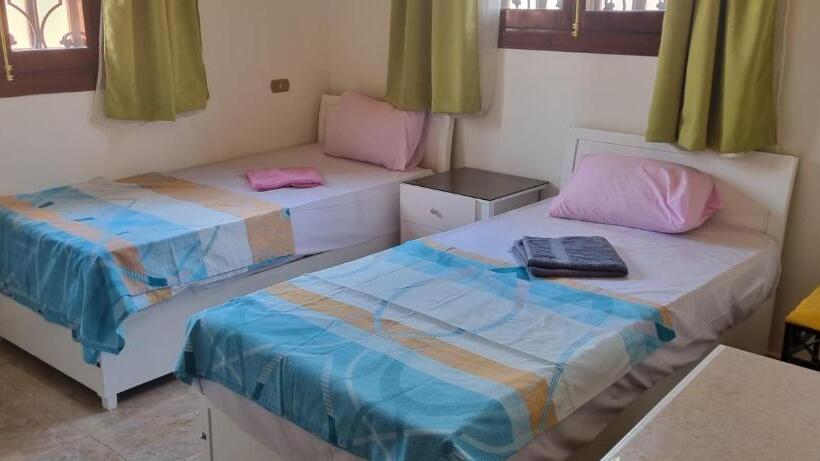 اتاق لوکس, Dream Island