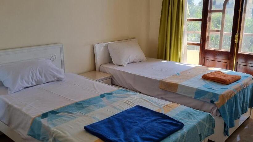 آپارتمان 1 خوابه با چشمانداز استخر, Dream Island