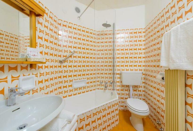 기본룸, Park Hotel Faloria