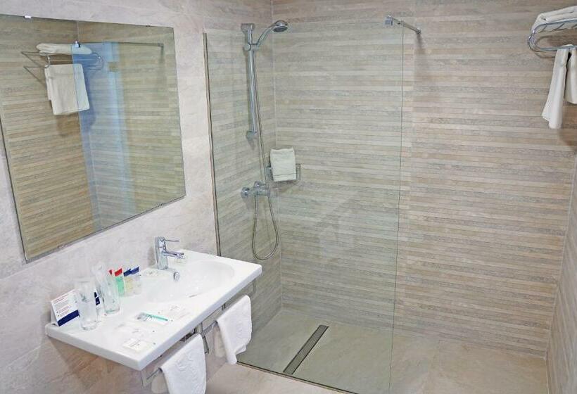 غرفة قياسية فردية, Alexandre Hotel Troya