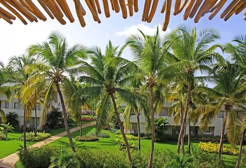 سوئیت جونیور پریمیوم, Catalonia Royal Bavaro - All Inclusive - Adults Only