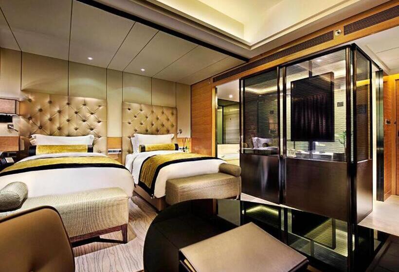 高级大房间, Enlux