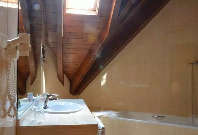اتاق استاندارد, Spa Acevi Val D’aran