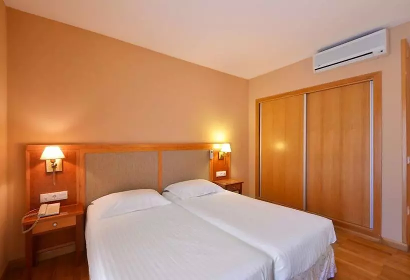 اتاق استاندارد, Spa Acevi Val D’aran