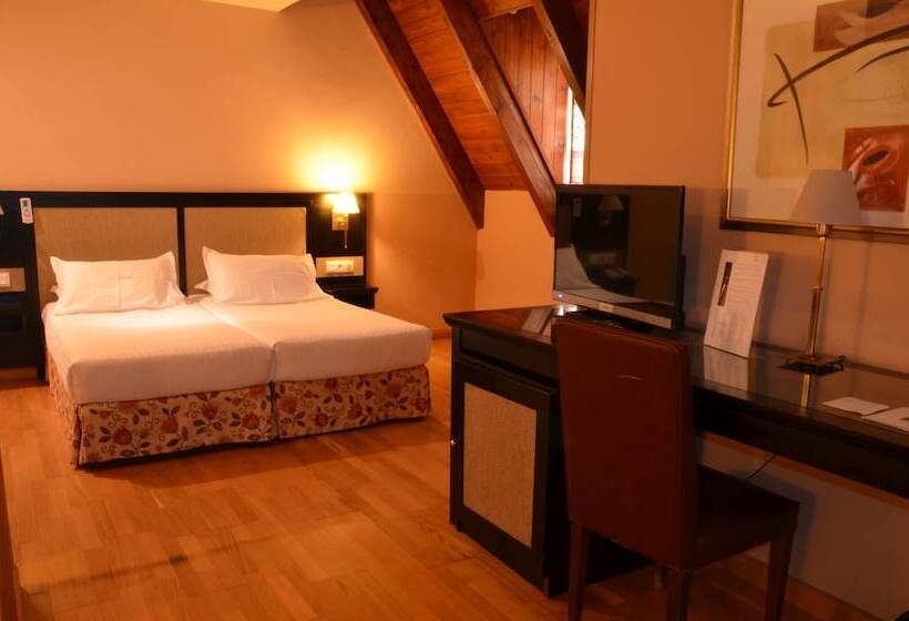 اتاق استاندارد, Spa Acevi Val D’aran