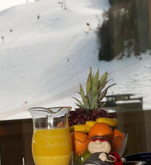 Апартаменты 1 Спальня Нижний Этаж, Am Zwölferkogel Appartements