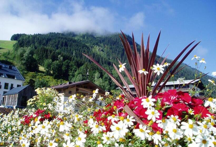 דירת חדר, Am Zwölferkogel Appartements