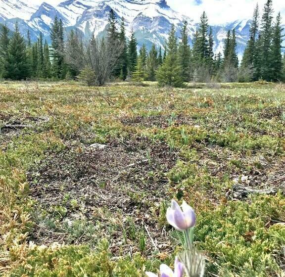 דירת חדר, Fenwick Vacation Rentals Inviting Rocky Mountain Hot Tub In Top Rated Condo
