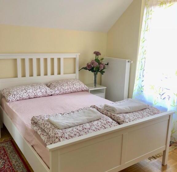 اتاق استاندارد با سرویس بهداشتی مشترک, Apartments Maria