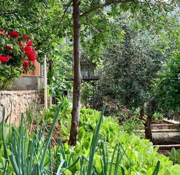 חדר סטנדרט, Tzavelitiko Home