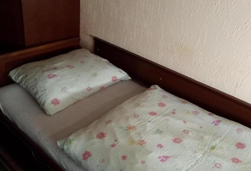 اتاق استاندارد یک تخته با سرویس بهداشتی مشترک, Guest House Gaja
