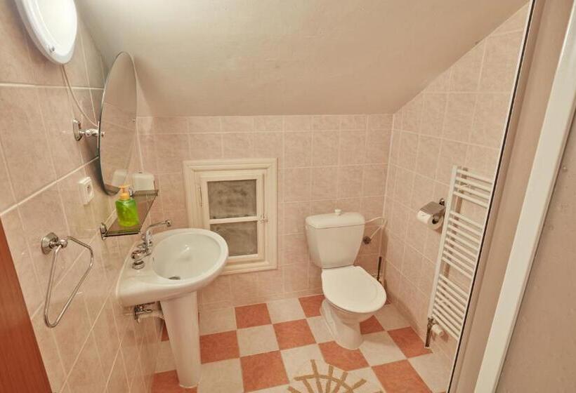 חדר משפחתי, Penzion Flora