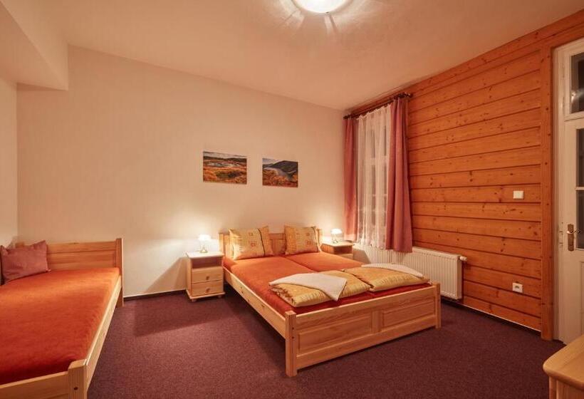 חדר סטנדרטי לחמישה אנשים, Penzion Flora