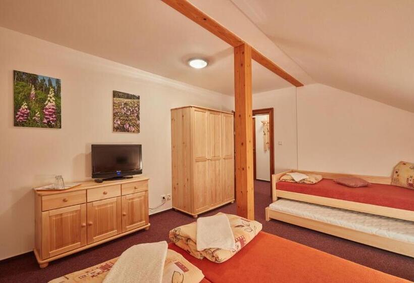 חדר סטנדרטי לחמישה אנשים, Penzion Flora