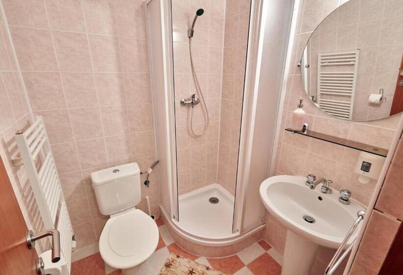 חדר סטנדרטי לחמישה אנשים, Penzion Flora