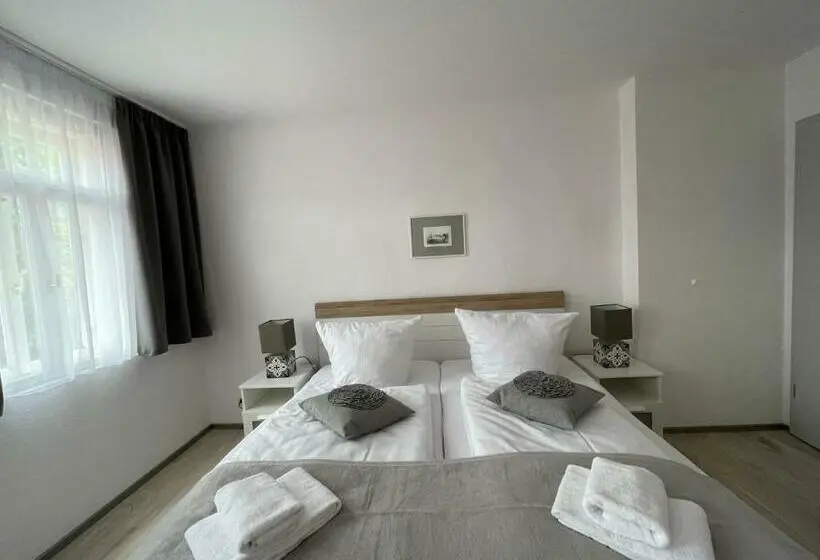 Standard Kolmen Hengen Huone, Pension Altstadt