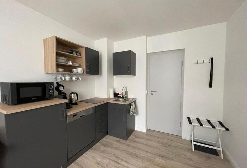 شقة غرفة واحدة, Pension Altstadt