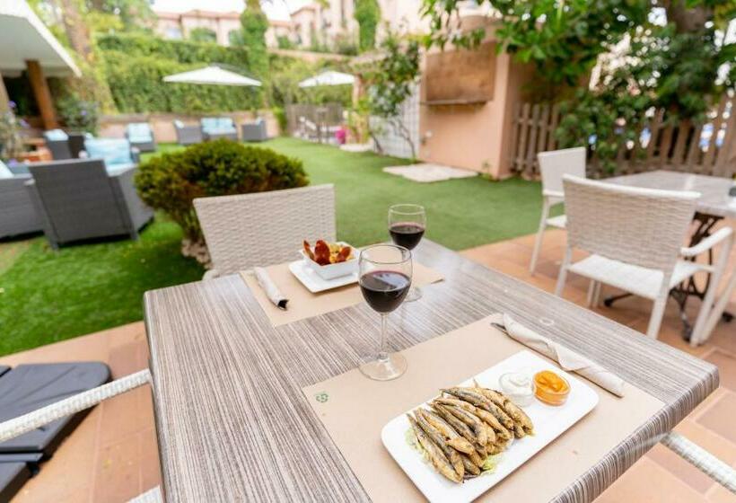 דירת חדר, Apartamentos Royal Life