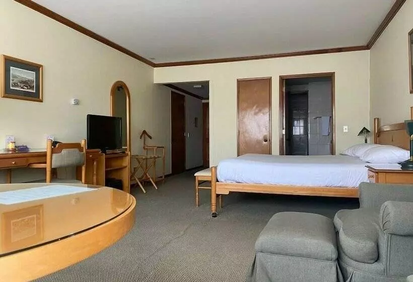 اتاق سوپریور, Abba Presidente Suites Puerto Montt