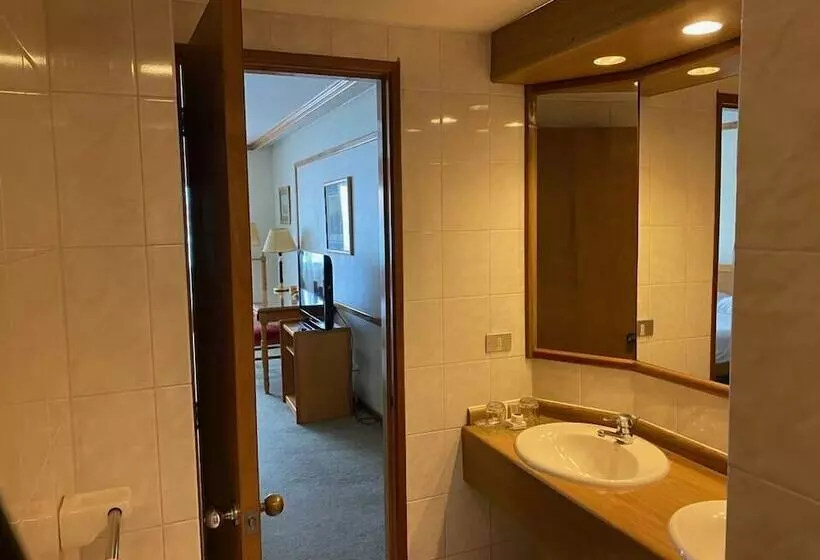 اتاق سوپریور, Abba Presidente Suites Puerto Montt
