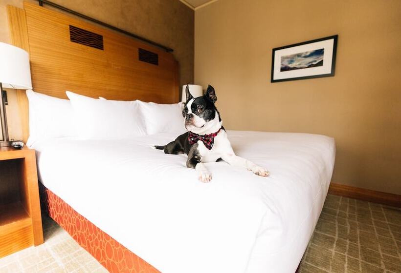 Номер Клуб, Grand Hyatt Seattle