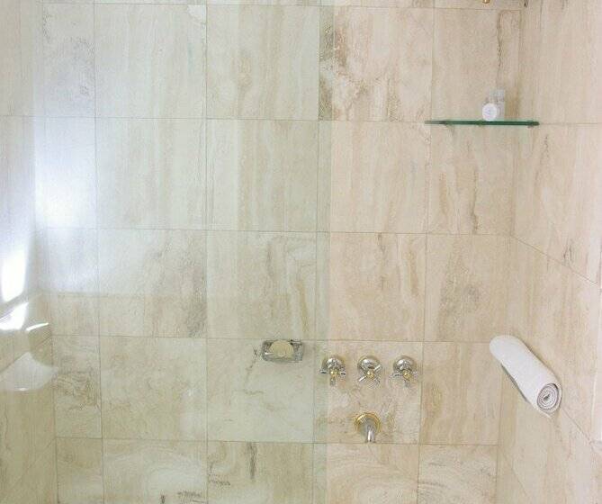 سوییت اجرایی, Loi Suites Recoleta